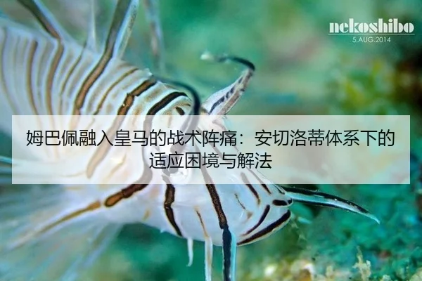 mu-ba-pei-rong-ru-huang-ma-de-zhan-shu-zhen-tong-an-qie-luo-di-ti-xi-xia-de-shi-ying-kun-jing-yu-xie-fa-3-720.jpg