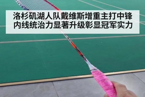 洛杉矶湖人队戴维斯增重主打中锋内线统治力显著升级彰显冠军实力