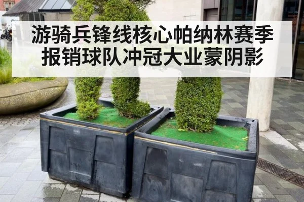 游骑兵锋线核心帕纳林赛季报销球队冲冠大业蒙阴影